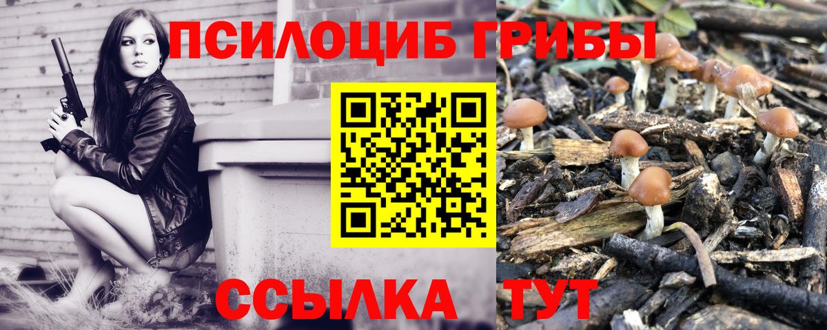 Псилоцибиновые грибы Psilocybine cubensis  Псилоцибиновые грибы мухоморы  Владикавказ  Вход с VPN 